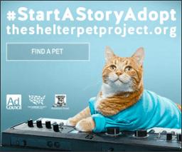 https://theshelterpetproject.org/